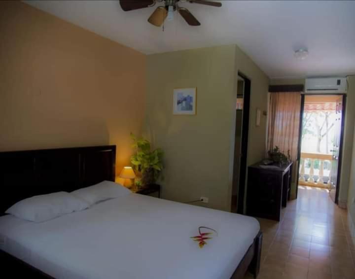 House Of The Macaws Bed & Breakfast Tárcoles Exterior photo